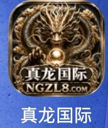 真龙国际